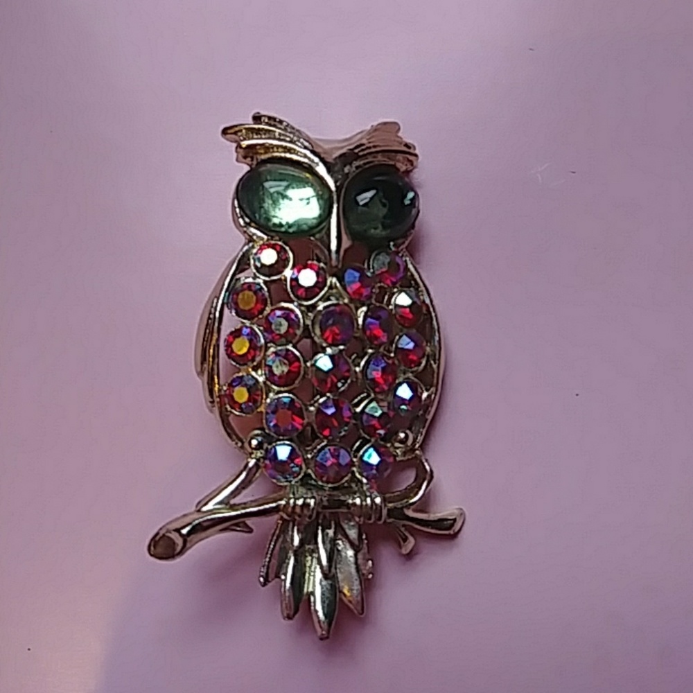 OWL Beautiful Brooche